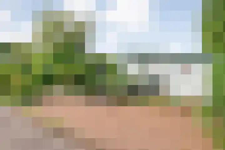 Coevorderweg 27 121 Stegeren thumbnail 45