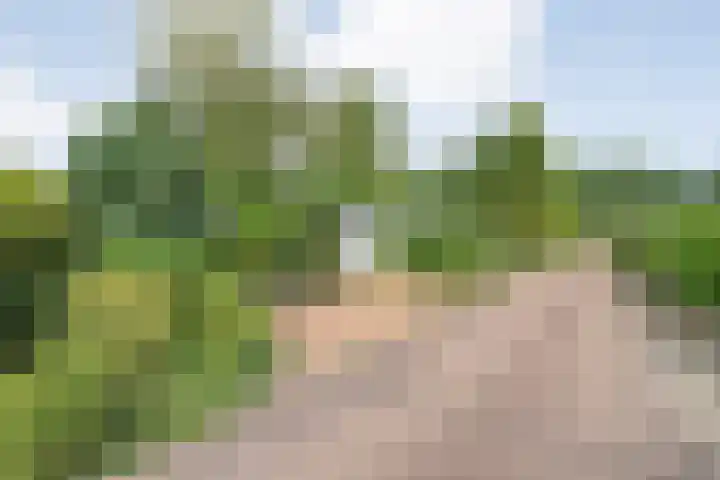 Coevorderweg 27 121 Stegeren thumbnail 5