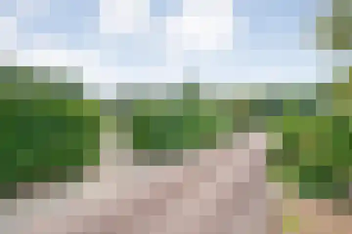 Coevorderweg 27 121 Stegeren thumbnail 6