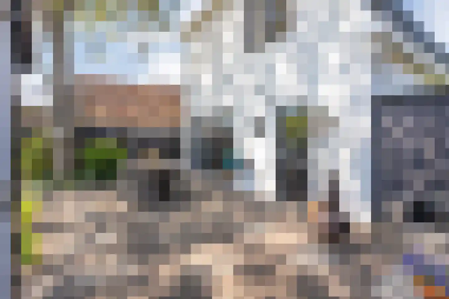 Coevorderweg 3 Gramsbergen thumbnail 4
