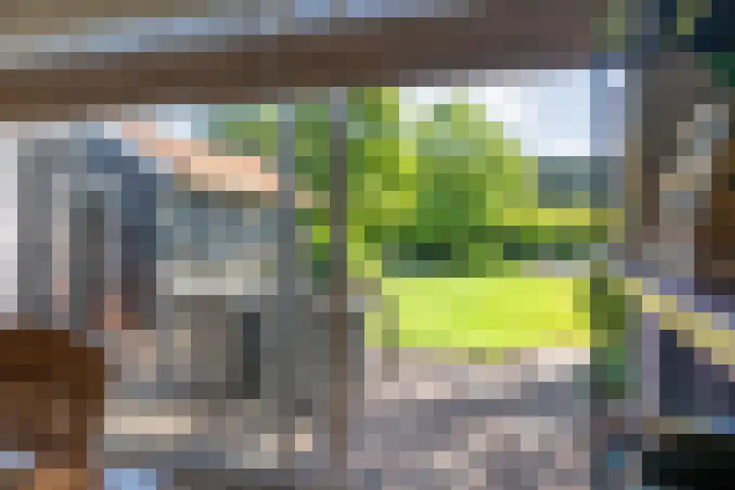 Coevorderweg 3 Gramsbergen thumbnail 42