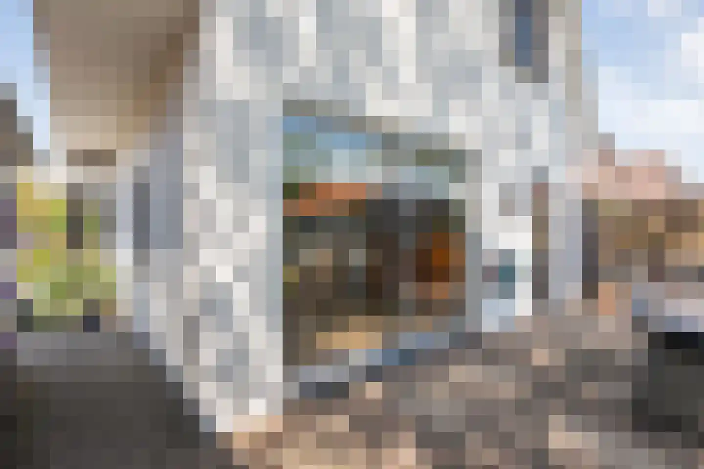 Coevorderweg 3 Gramsbergen thumbnail 45