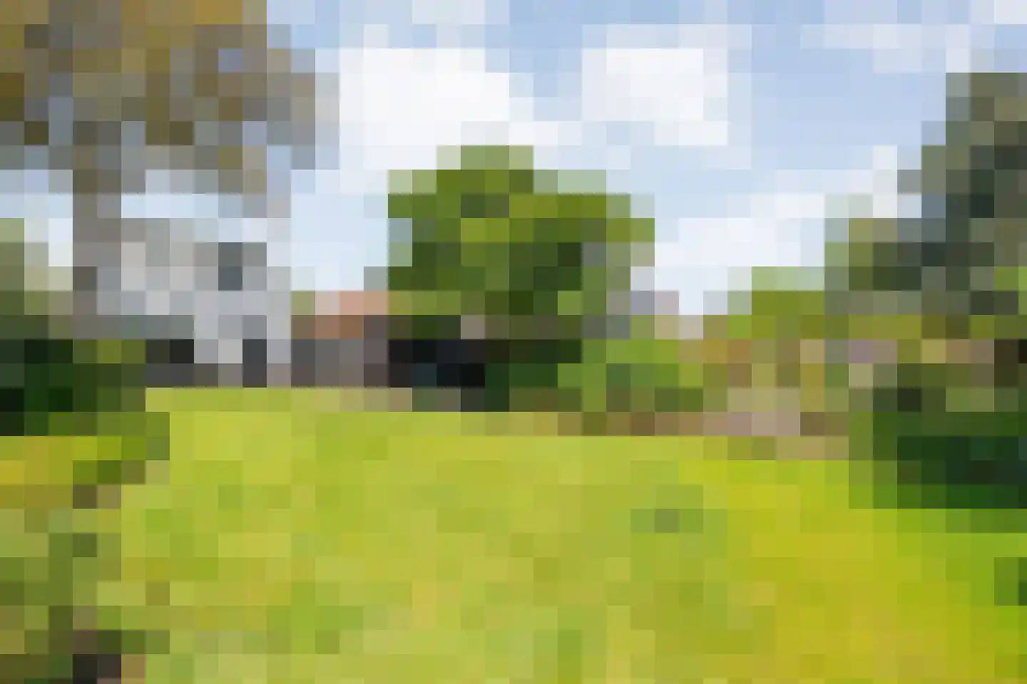 Coevorderweg 3 Gramsbergen thumbnail 48