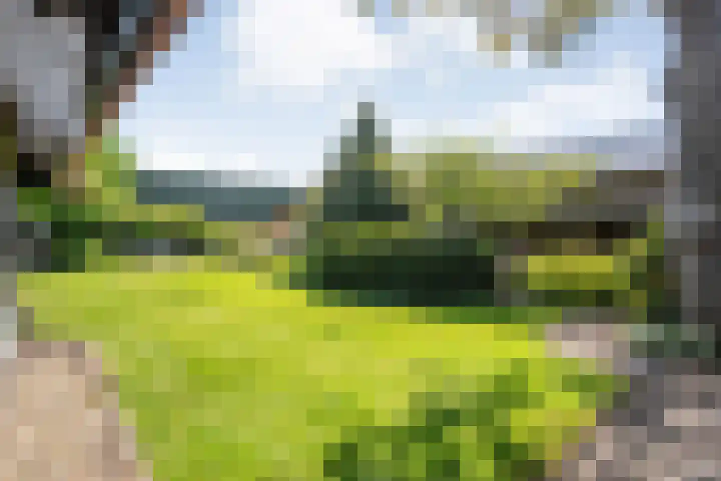 Coevorderweg 3 Gramsbergen thumbnail 51