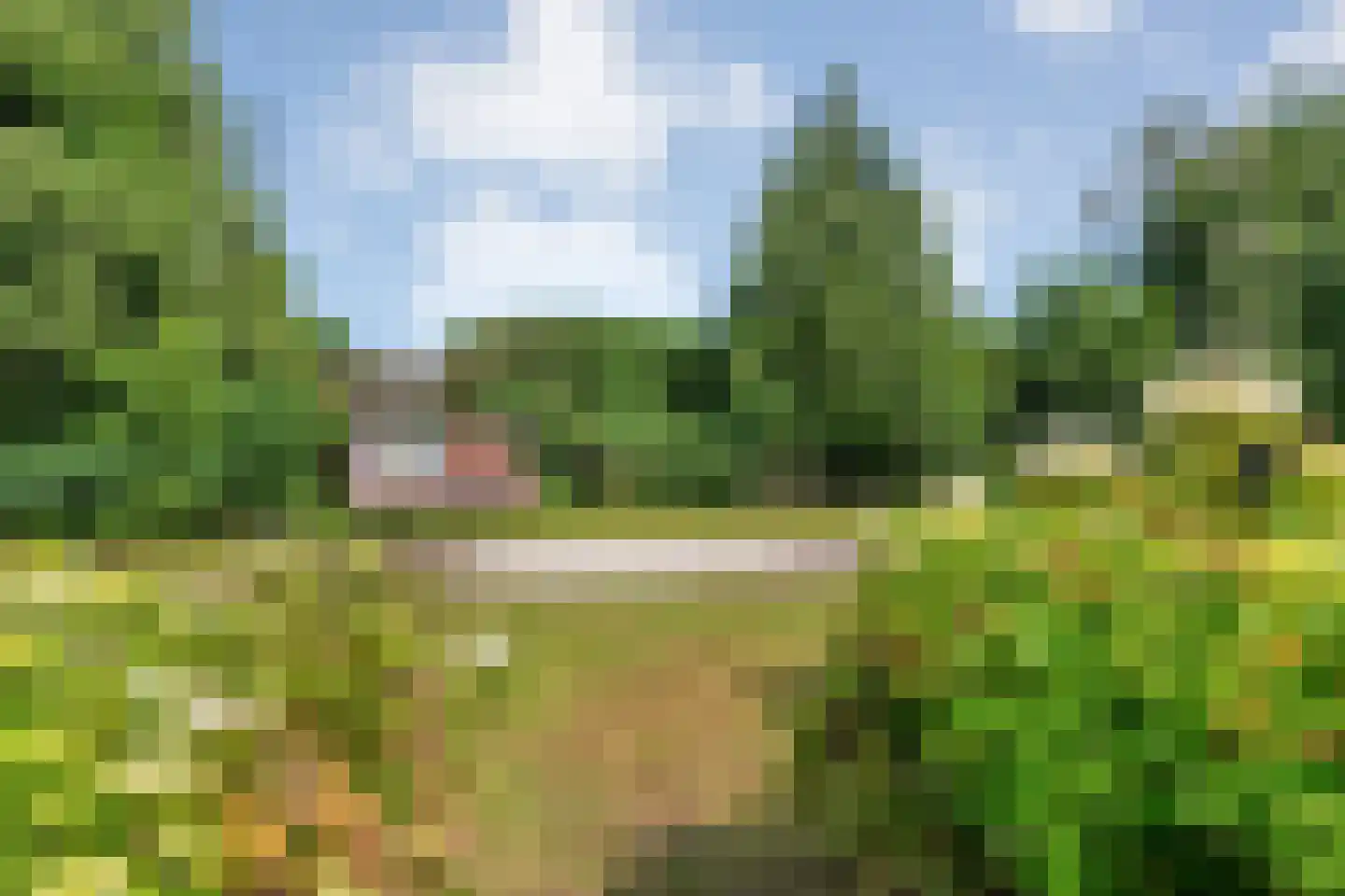 Coevorderweg 48 Balkbrug thumbnail 61