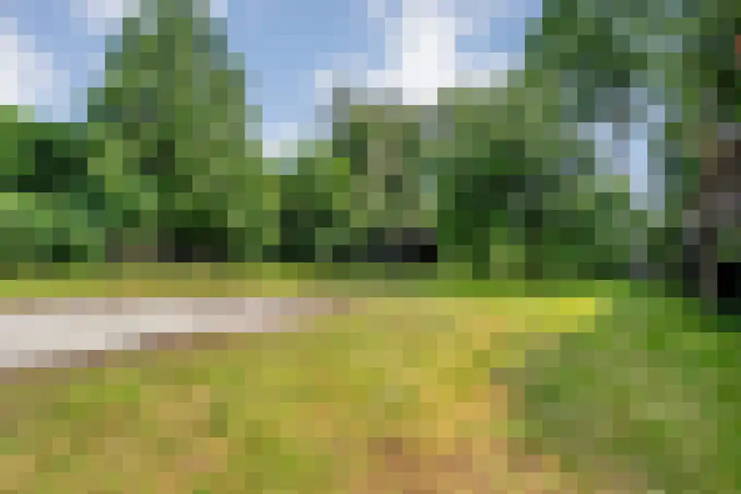 Coevorderweg 48 Balkbrug thumbnail 62