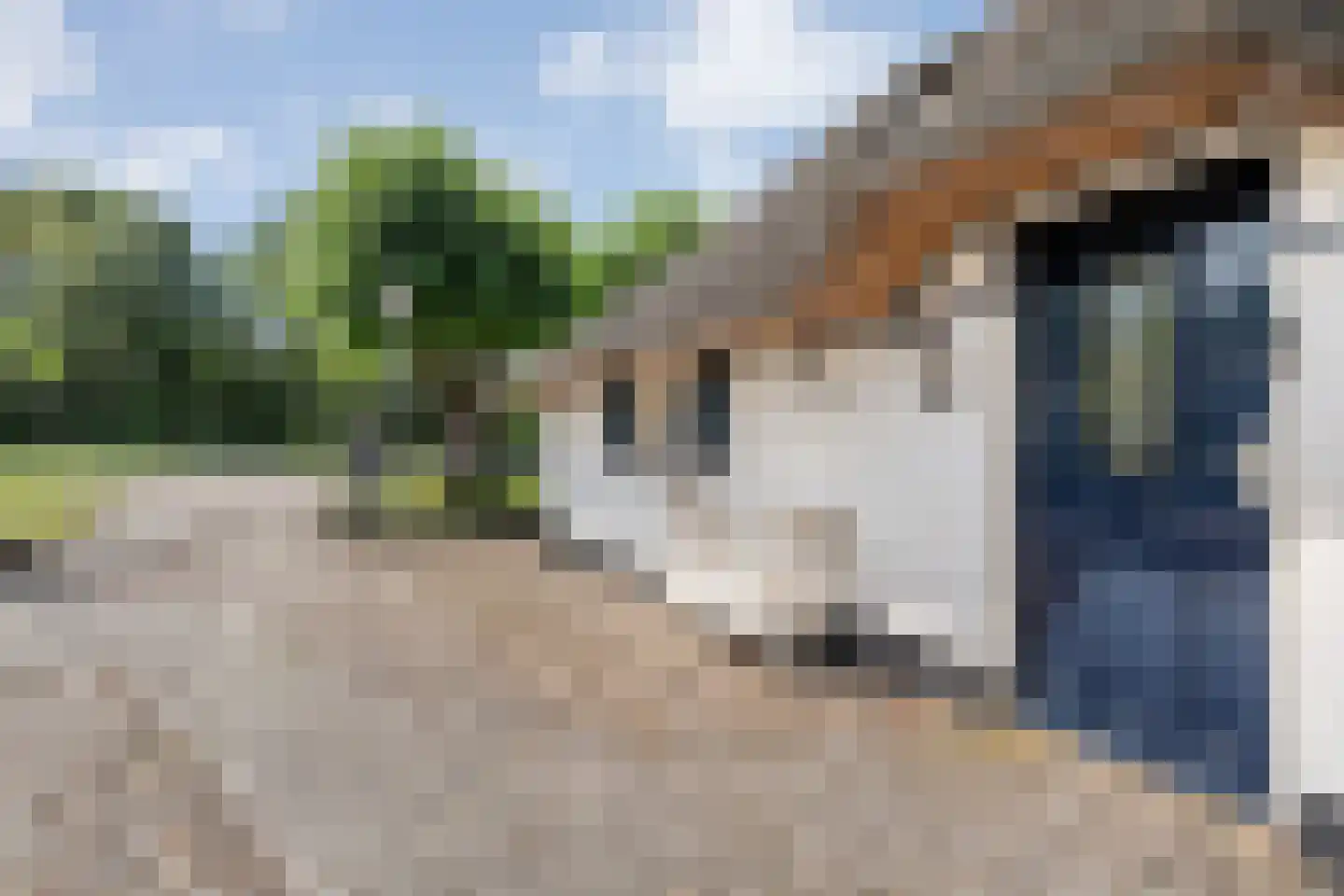 Coevorderweg 48 Balkbrug thumbnail 9
