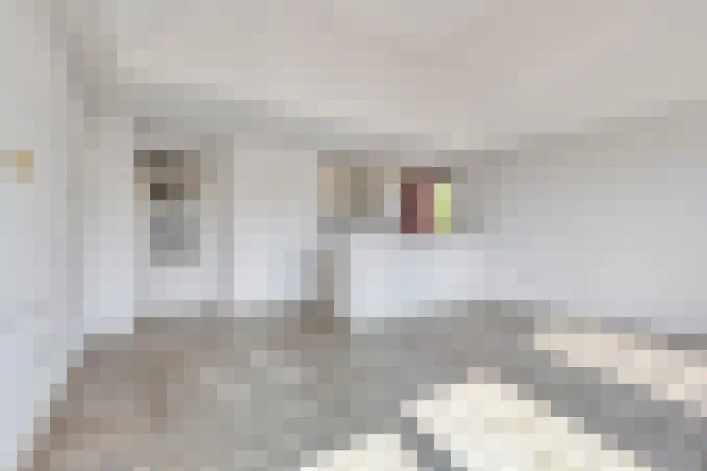 Cognachof 12 Eindhoven thumbnail 4