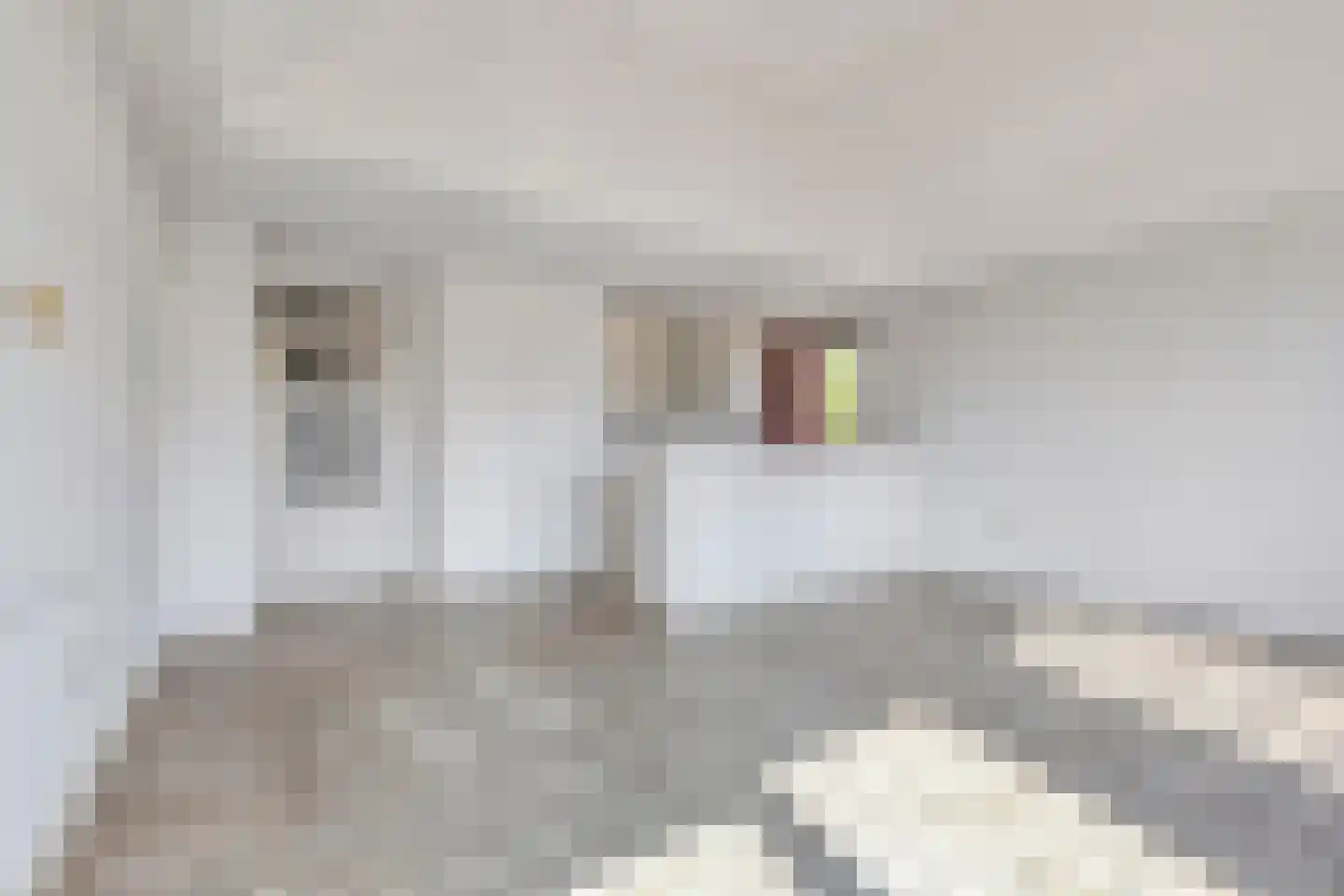 Cognachof 12 Eindhoven thumbnail 5
