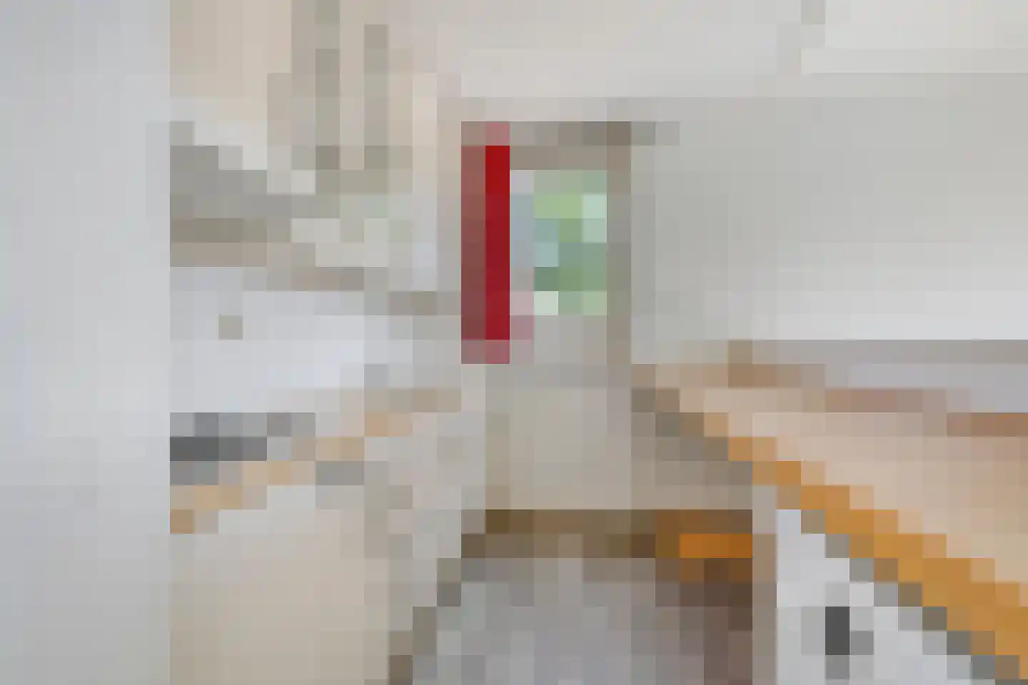 Cognachof 12 Eindhoven thumbnail 6