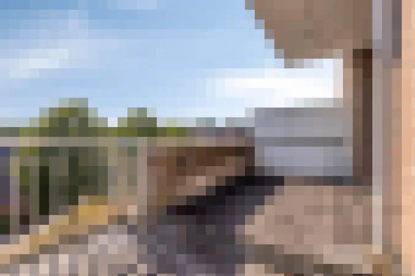 Cognachof 12 Eindhoven thumbnail 7