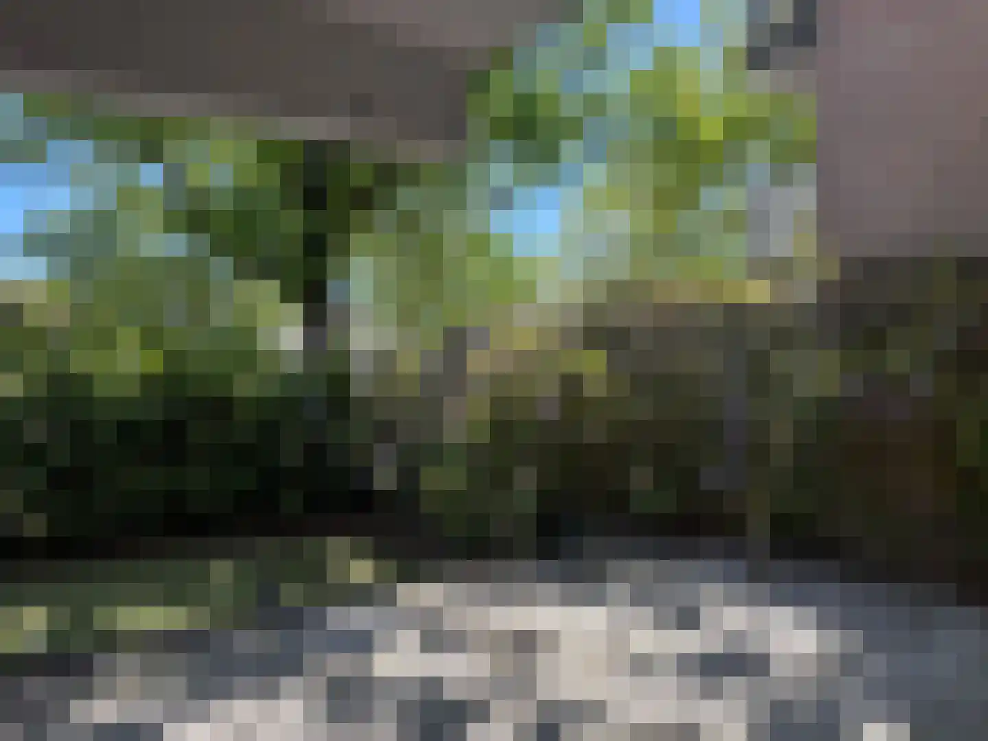 Cognachof 19 Eindhoven thumbnail 22
