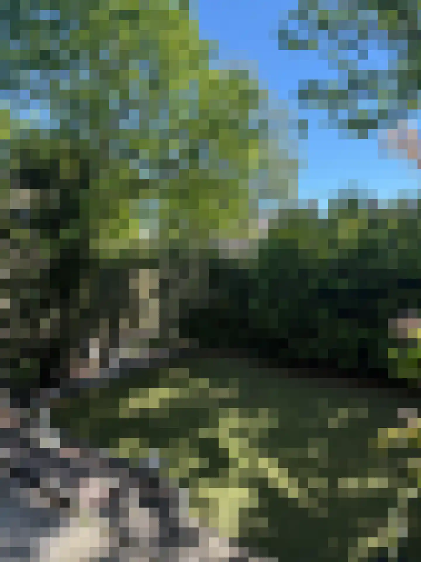 Cognachof 19 Eindhoven thumbnail 24