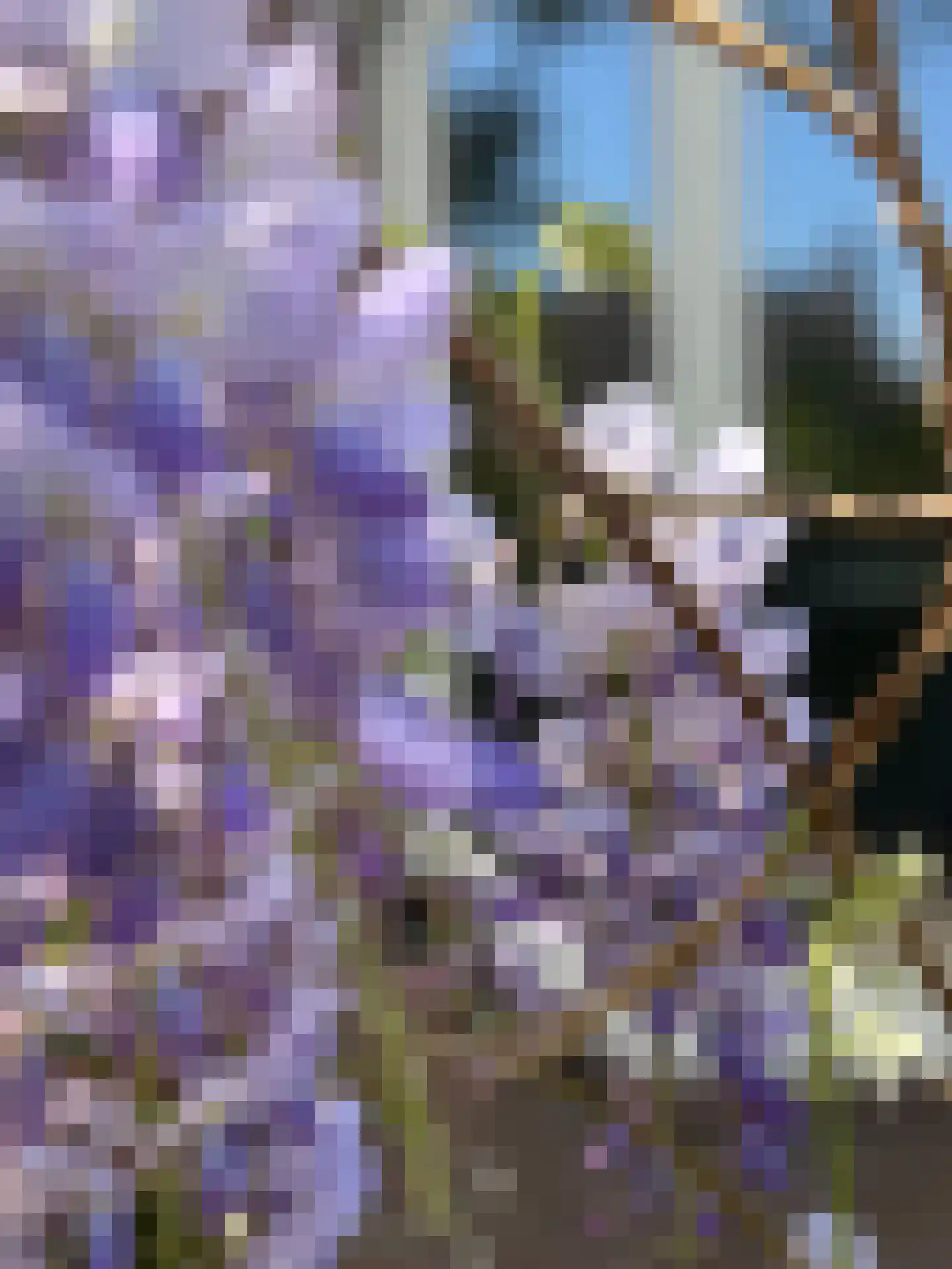 Cognachof 19 Eindhoven thumbnail 25