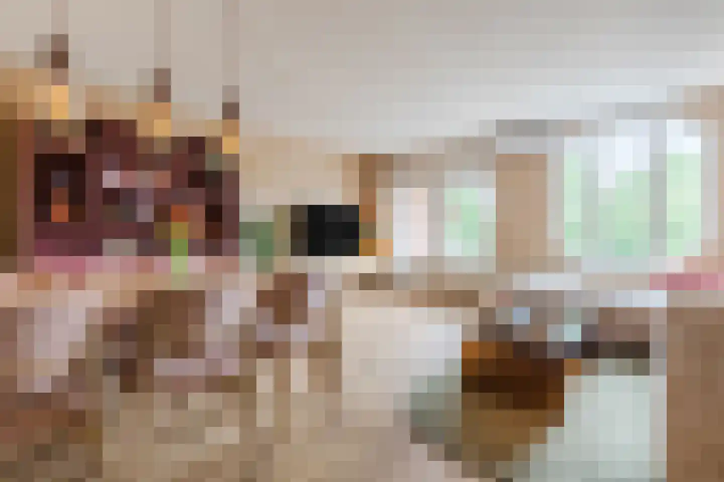 Cognachof 3 Eindhoven thumbnail 18