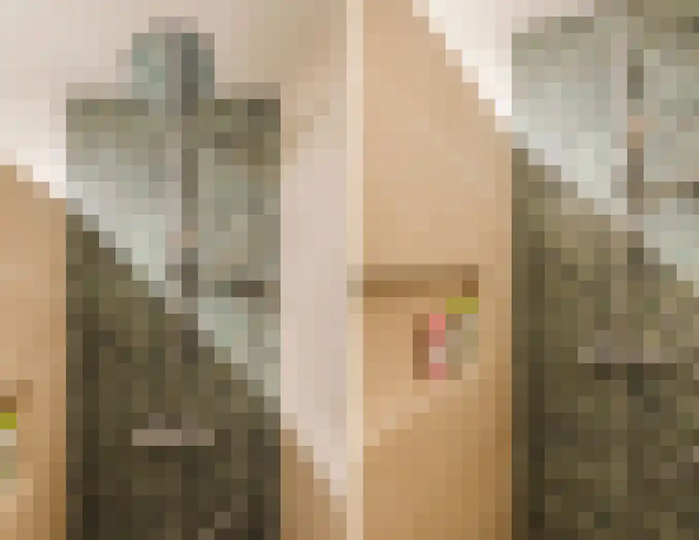Cognachof 3 Eindhoven thumbnail 4