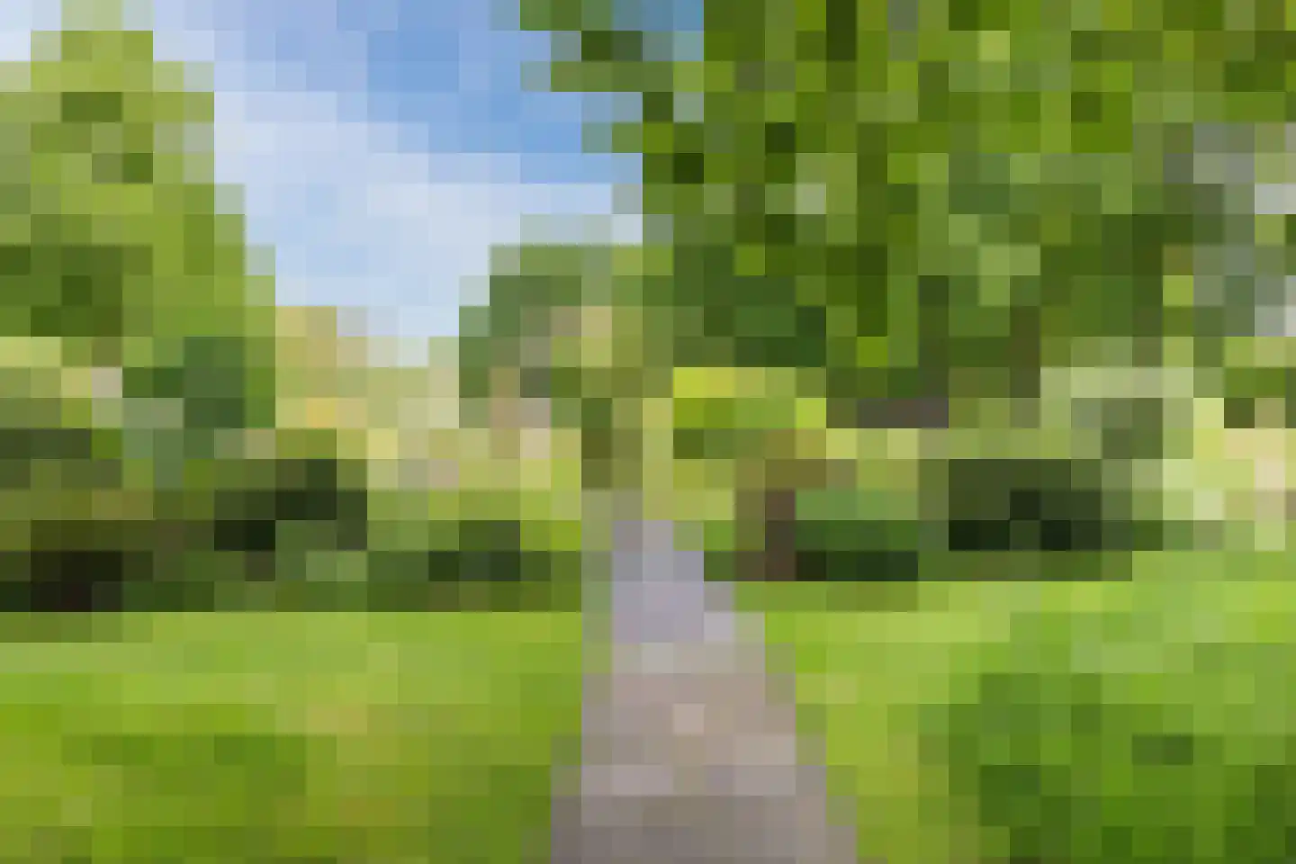 Cognachof 3 Eindhoven thumbnail 47