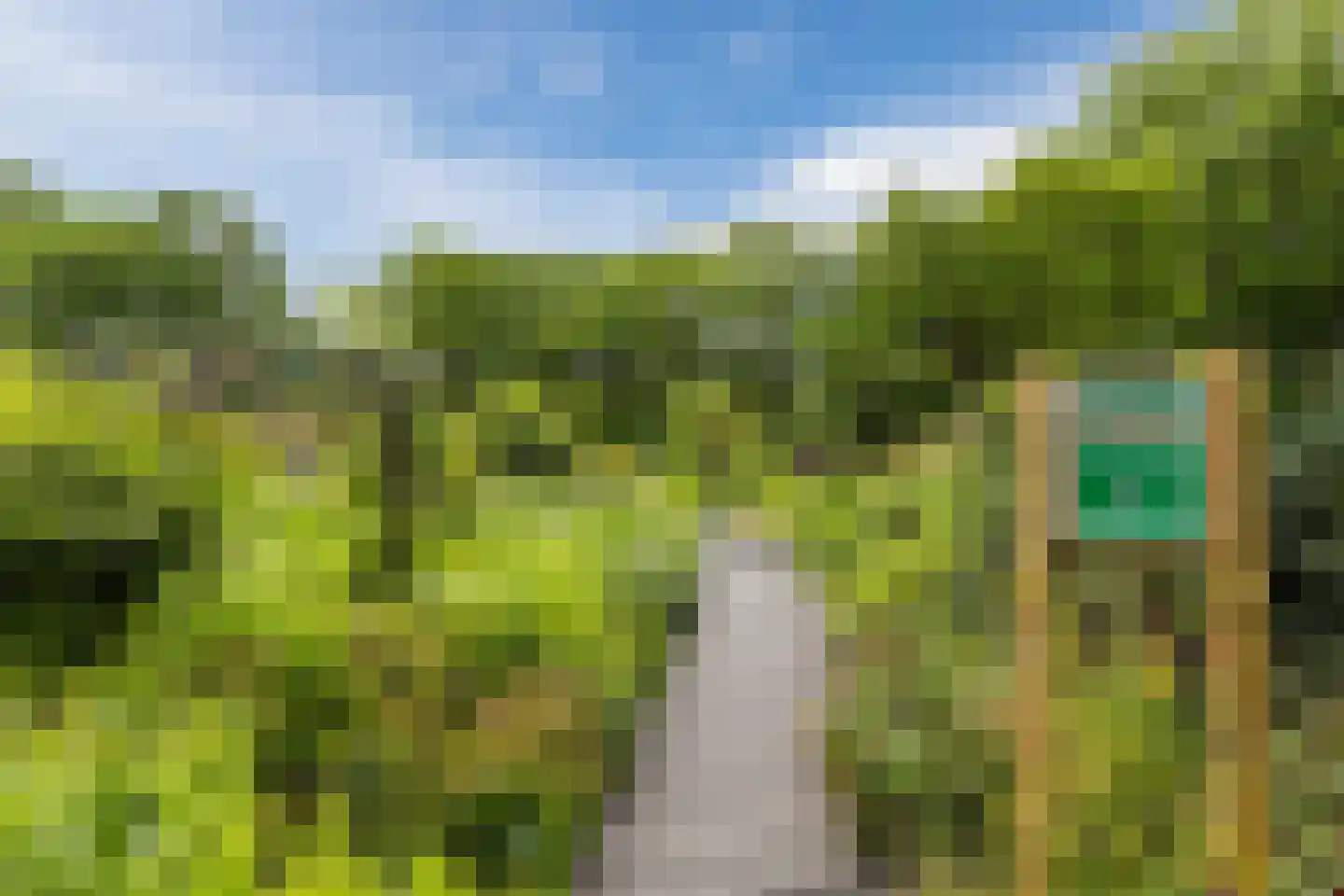 Cognachof 3 Eindhoven thumbnail 48