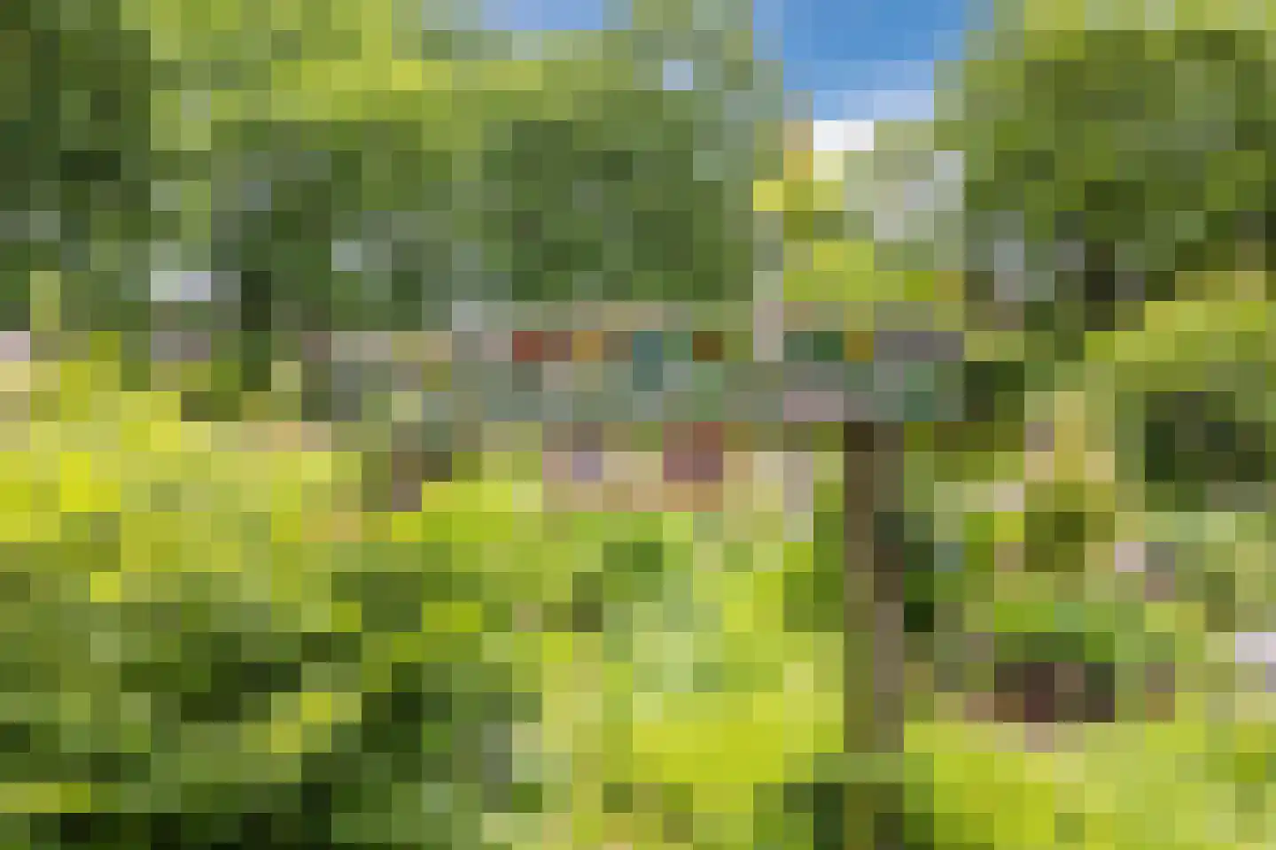Cognachof 3 Eindhoven thumbnail 49
