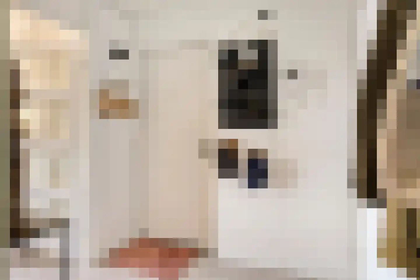 Cognachof 4 Eindhoven thumbnail 11