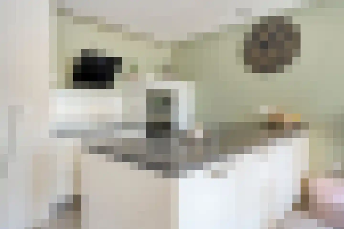 Cognachof 4 Eindhoven thumbnail 16