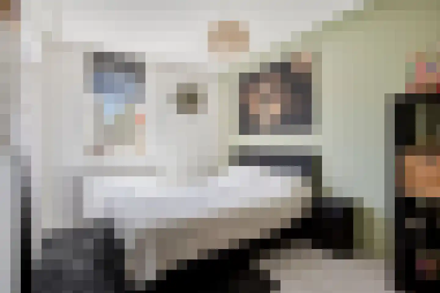Cognachof 4 Eindhoven thumbnail 20