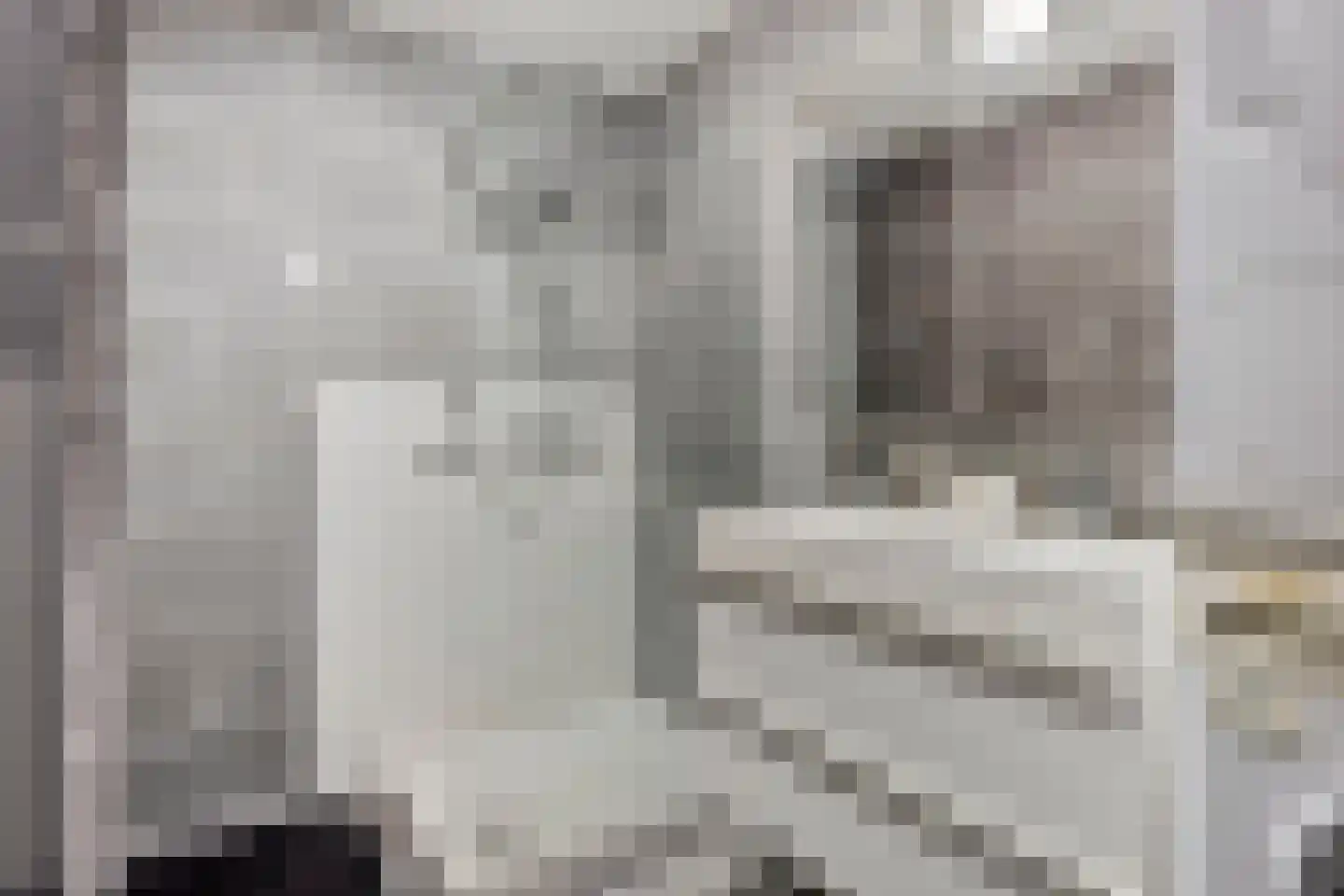 Cognachof 4 Eindhoven thumbnail 21