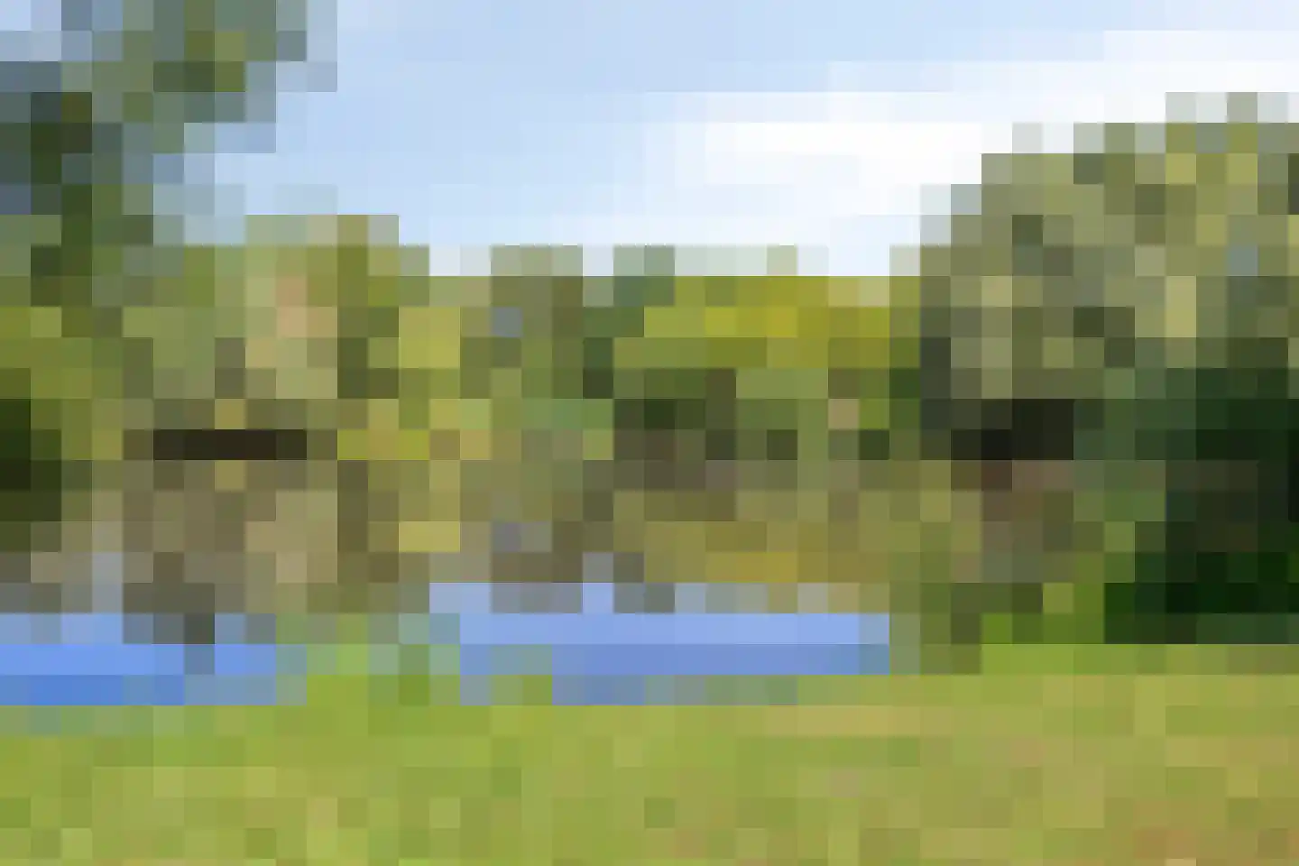 Cognachof 4 Eindhoven thumbnail 30
