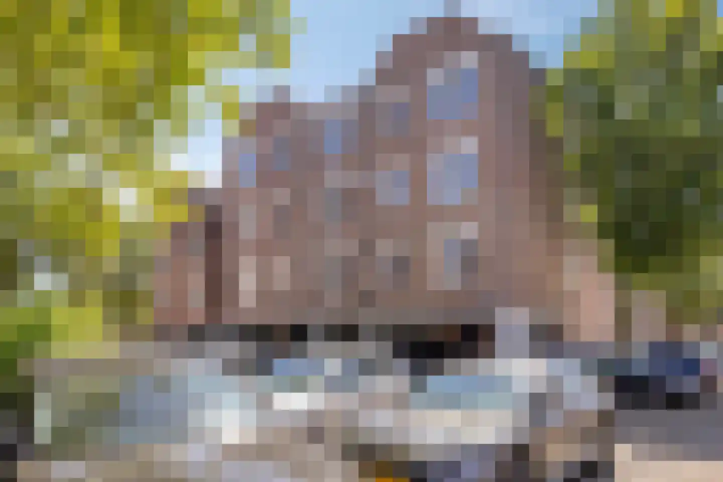 Cognachof 4 Eindhoven thumbnail 5