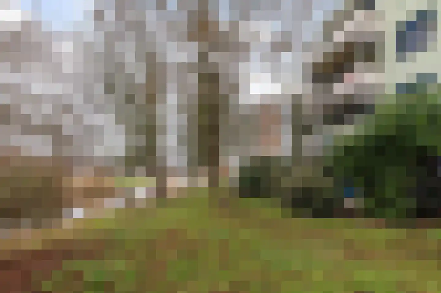 Cohenlaan 15 Utrecht thumbnail 17