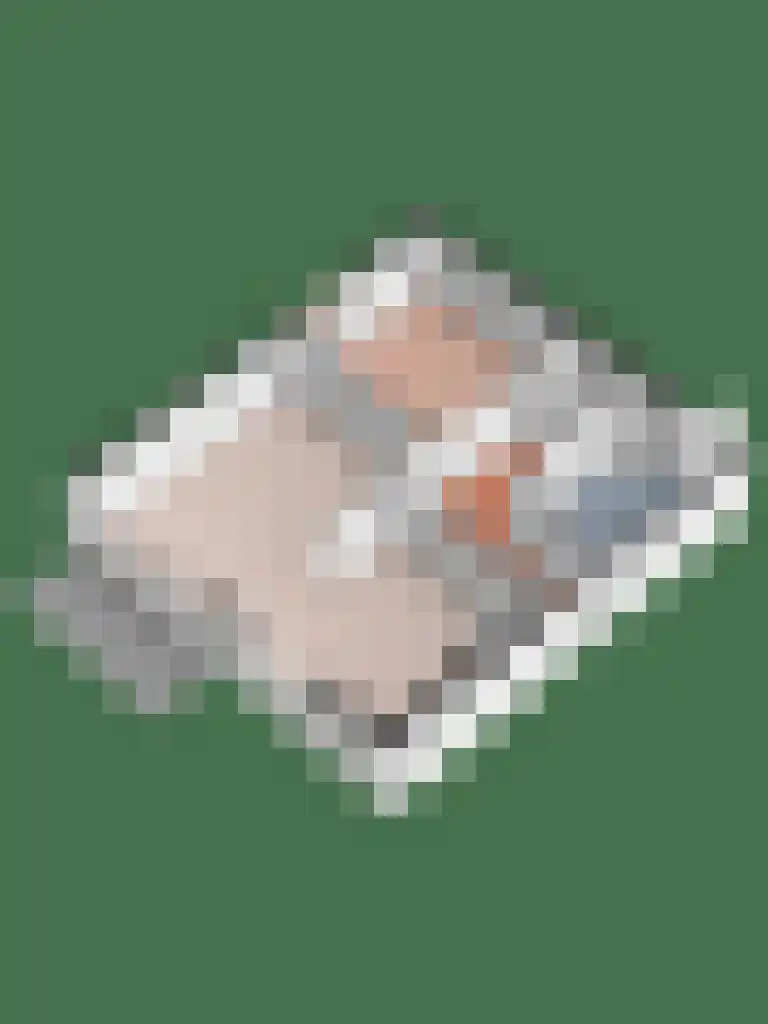 Cohenlaan 15 Utrecht thumbnail 31