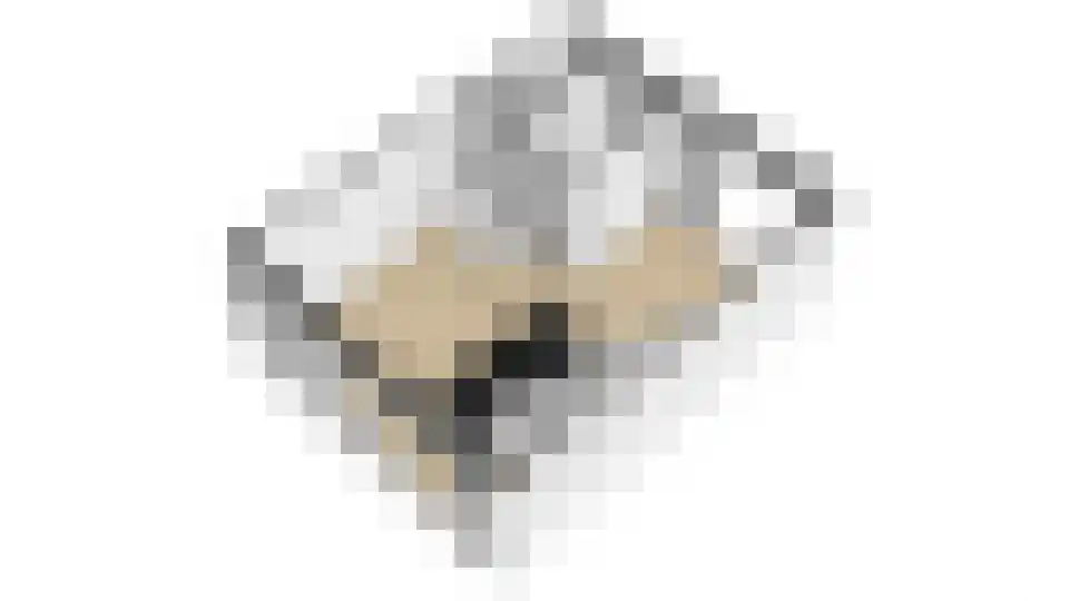 Cohenlaan 38 Utrecht thumbnail 43
