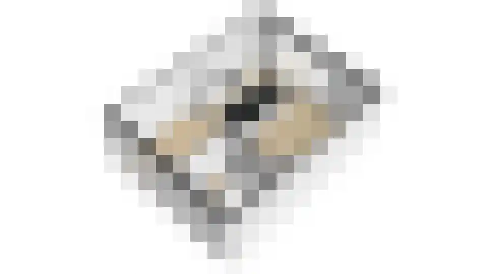 Cohenlaan 38 Utrecht thumbnail 44