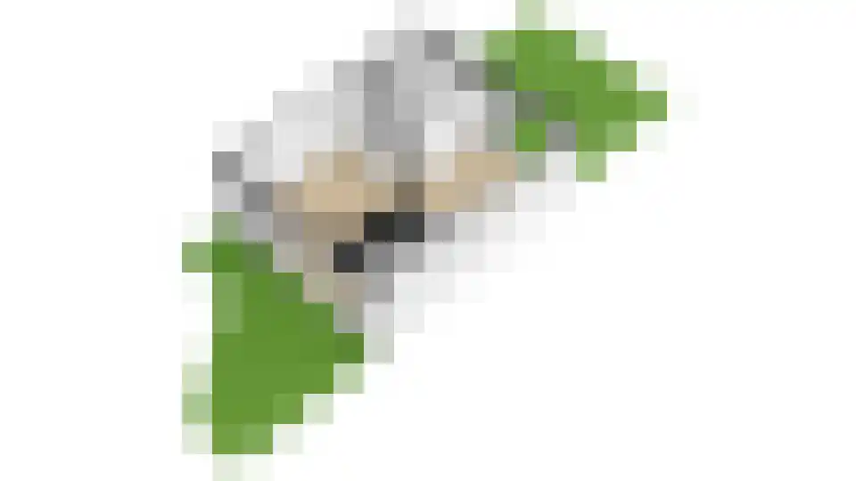 Cohenlaan 38 Utrecht thumbnail 49