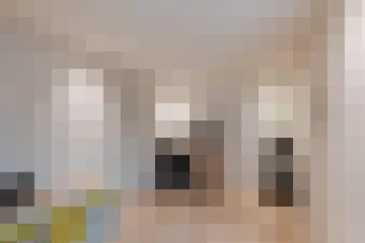 Cohenstraat 3 Wildervank thumbnail 15