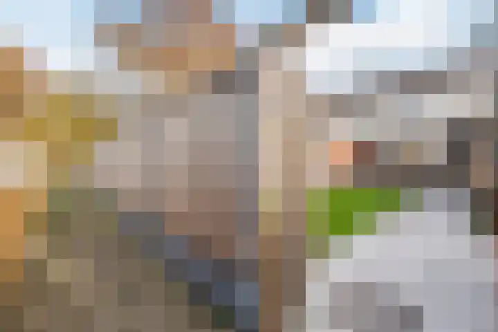 Cohenstraat 3 Wildervank thumbnail 29