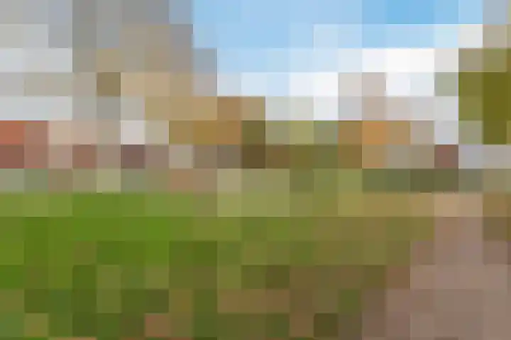 Cohenstraat 3 Wildervank thumbnail 32