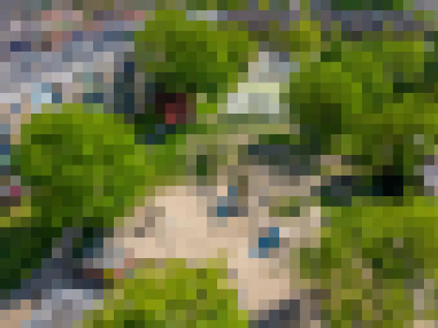 Cohortedreef 4 Valkenburg thumbnail 46