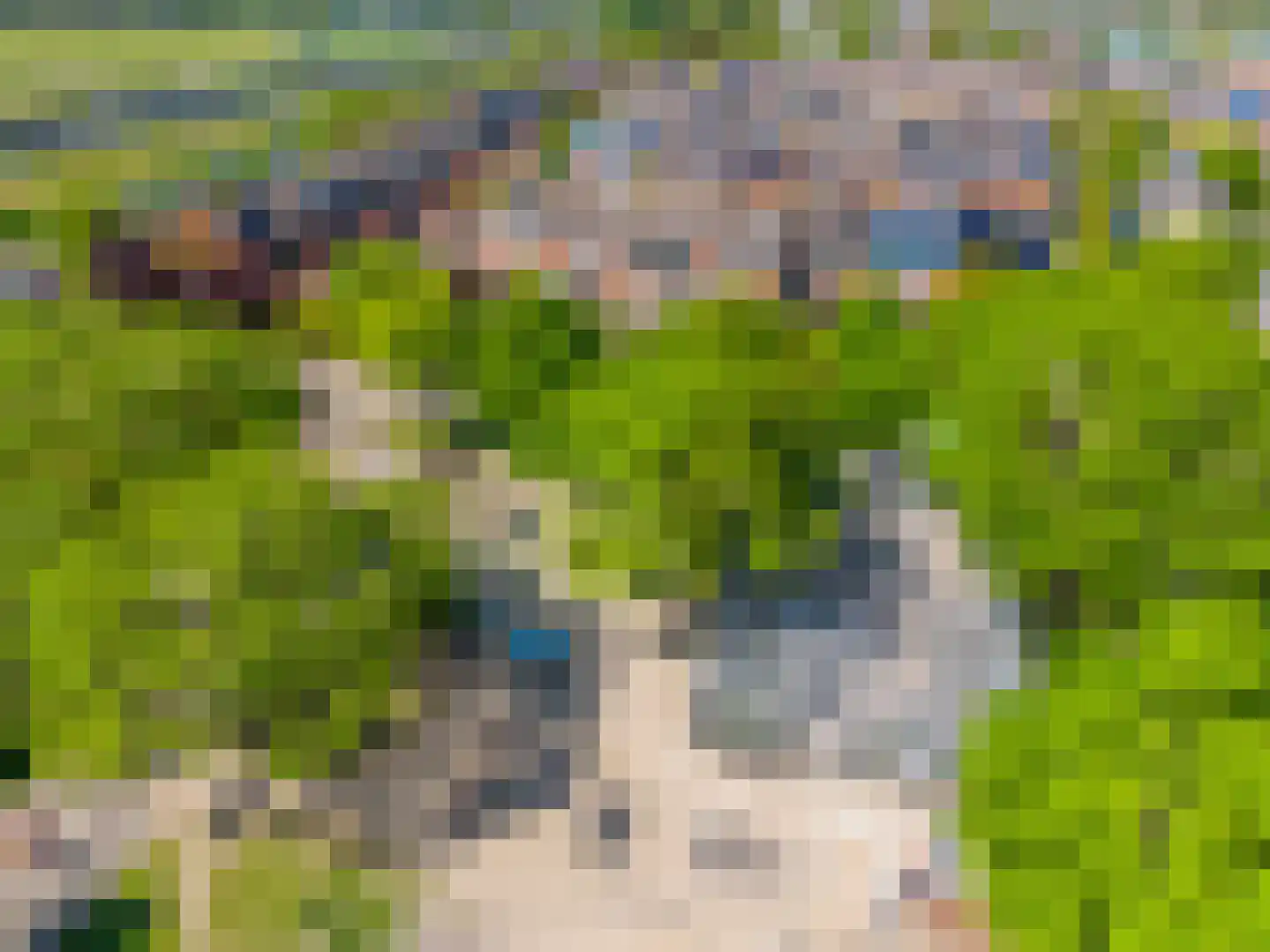 Cohortedreef 4 Valkenburg thumbnail 47