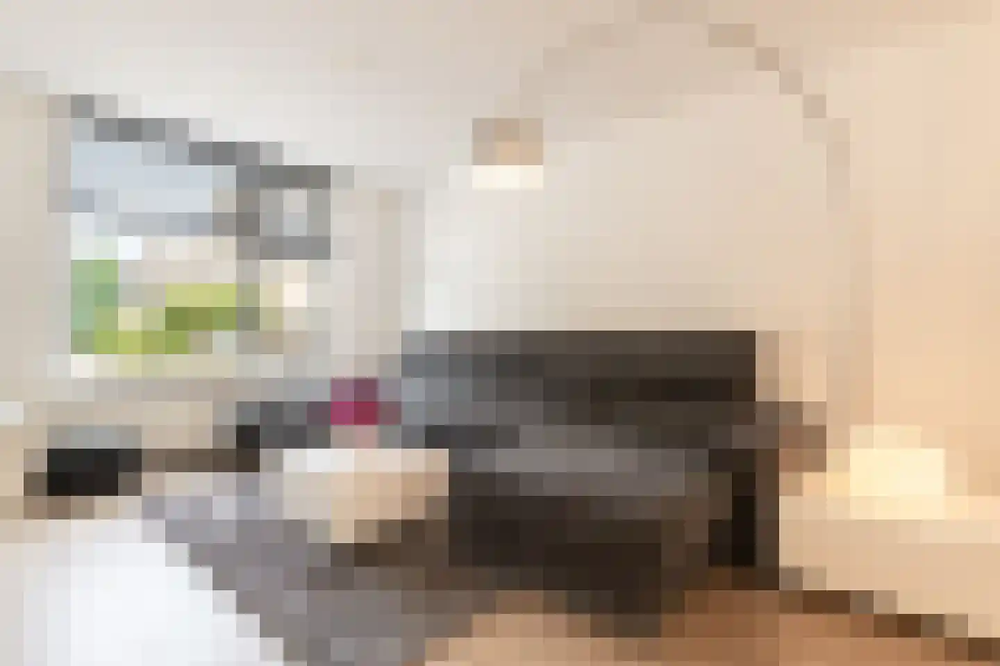 Cokesstraat 7 Geleen thumbnail 12