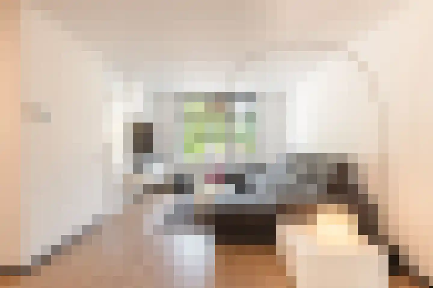 Cokesstraat 7 Geleen thumbnail 33