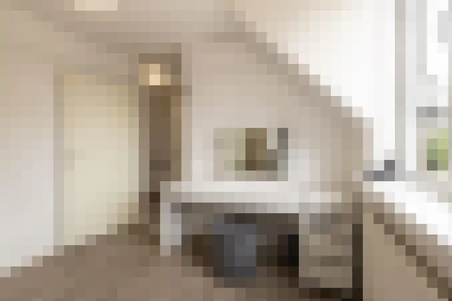 Cokesstraat 7 Geleen thumbnail 41