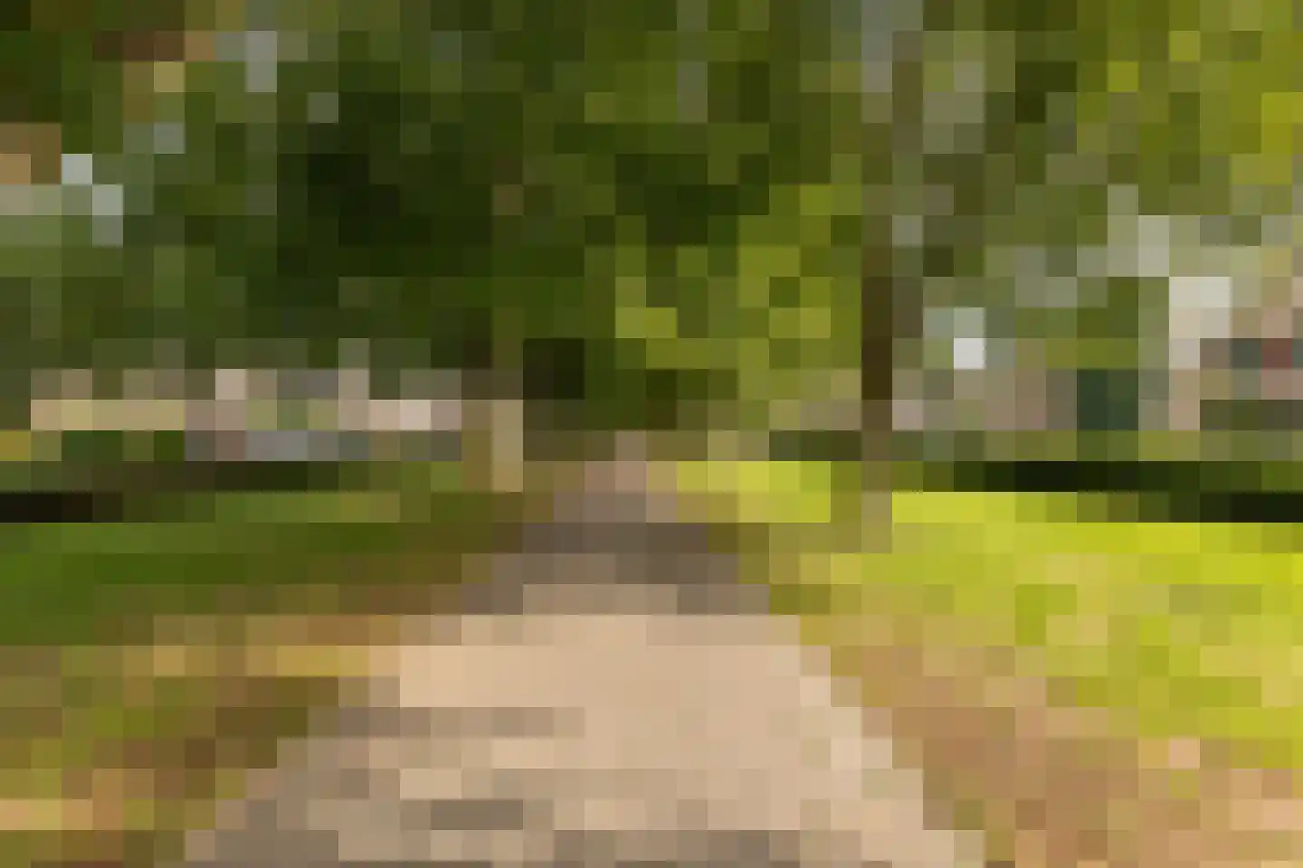 Cokesstraat 7 Geleen thumbnail 56