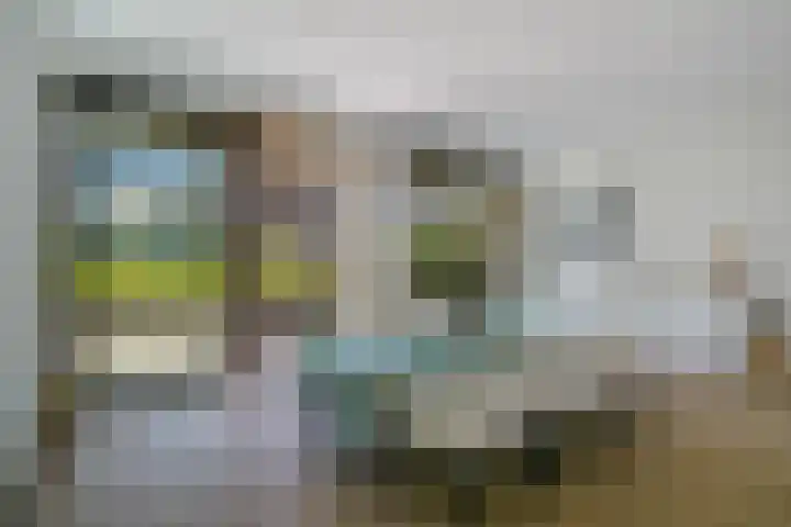 Cola Debrotstraat 6 Amsterdam thumbnail 10