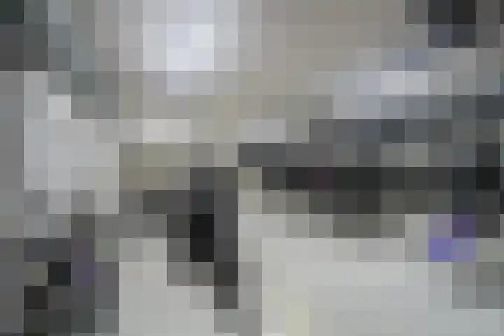 Cola Debrotstraat 6 Amsterdam thumbnail 11