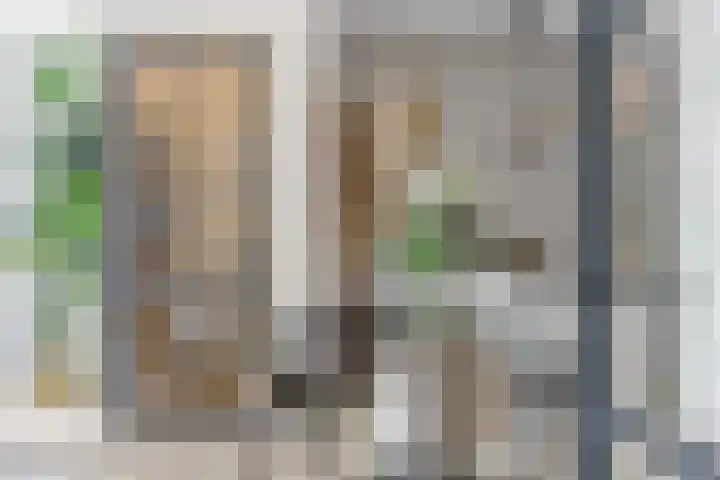 Cola Debrotstraat 6 Amsterdam thumbnail 19