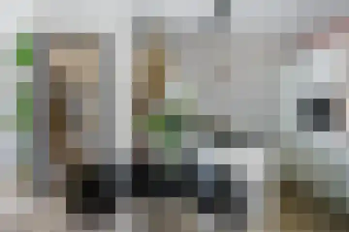Cola Debrotstraat 6 Amsterdam thumbnail 21