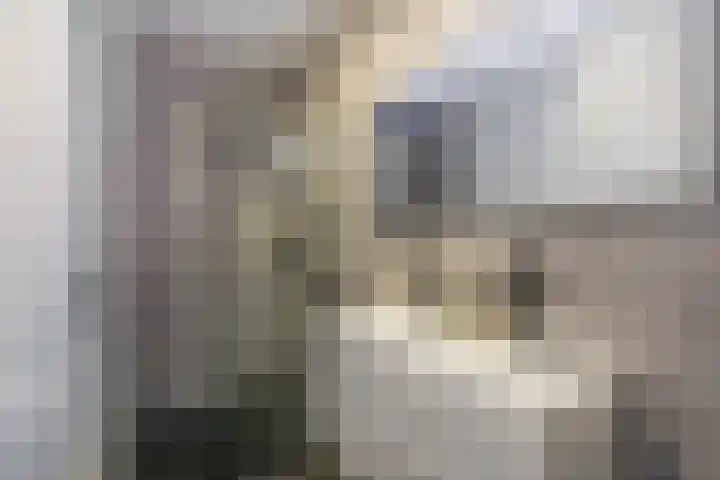 Cola Debrotstraat 6 Amsterdam thumbnail 23