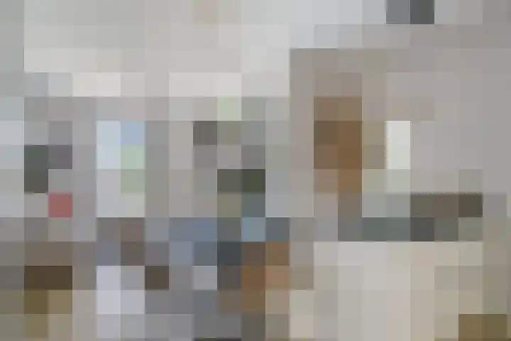 Cola Debrotstraat 6 Amsterdam thumbnail 6
