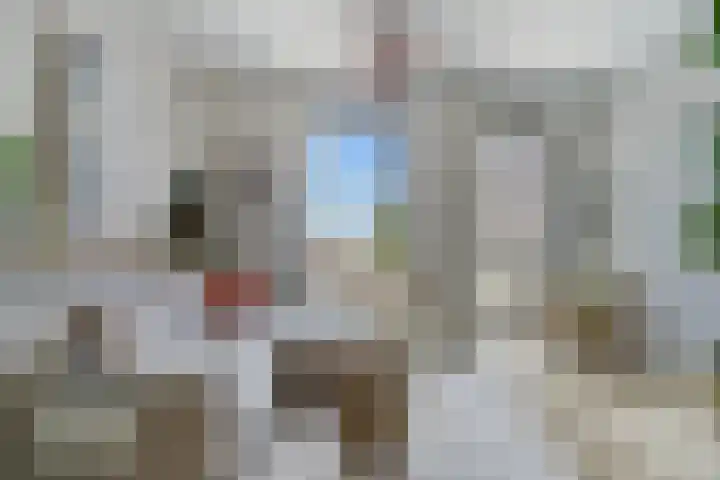 Cola Debrotstraat 6 Amsterdam thumbnail 7